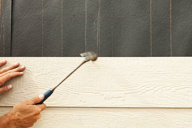Best Custom Siding Design  in King George, VA